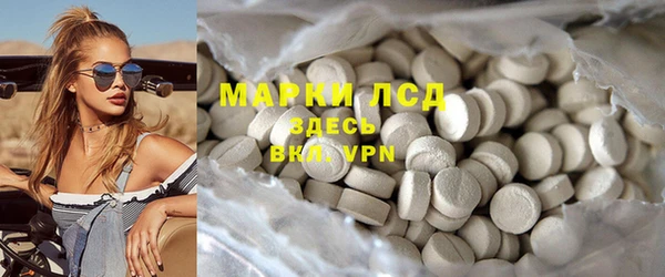прущие грибы Алексеевка