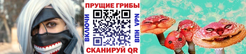 магазин    Снежногорск  Псилоцибиновые грибы ЛСД 